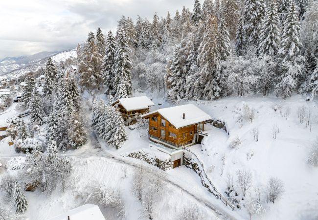 Chalet à Haute-Nendaz - Above the Clouds - spacious chalet with great view Chalet à Haute-Nendaz - Above the Clouds - spacious chalet with great view