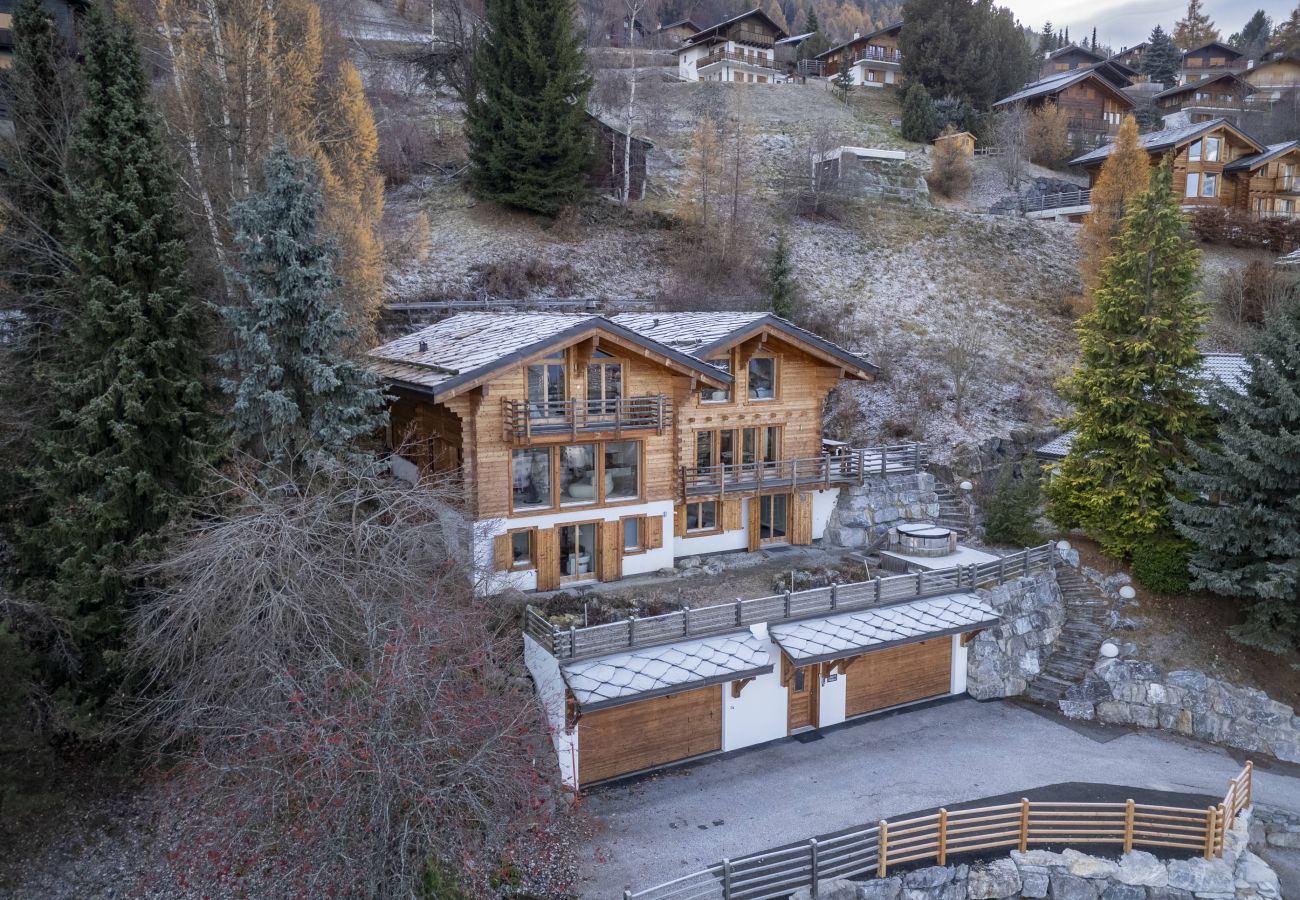 Chalet à Haute-Nendaz - Chalet Chevalier, gym, hot tub, sauna