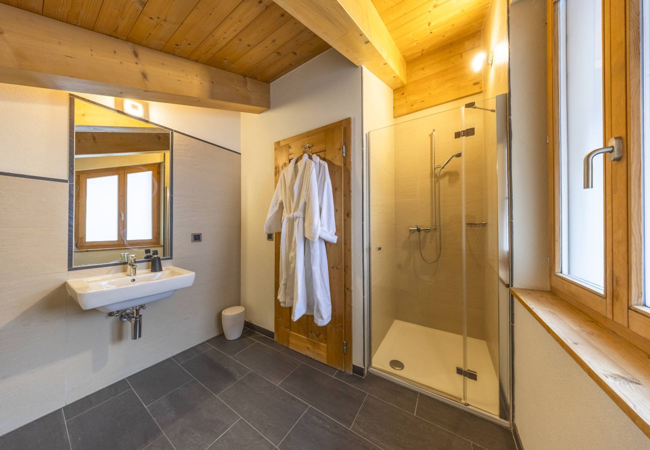 Chalet à Haute-Nendaz - Chalet Chevalier, gym, hot tub, sauna